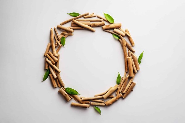 Quelles sont les meilleures méthodes pour conserver les herbes fraîches ?